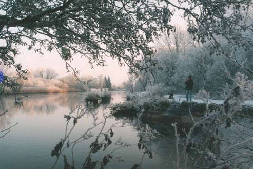 Frosty Day