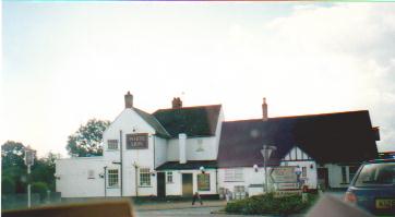 The White Lion